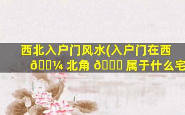 西北入户门风水(入户门在西 🐼 北角 🐘 属于什么宅)